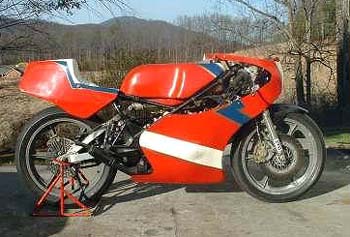 The 1981 TZ250H